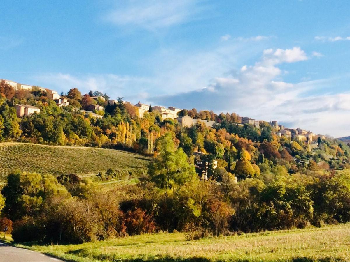 La Maison D'Alice Sault-de-Vaucluse Zewnętrze zdjęcie
